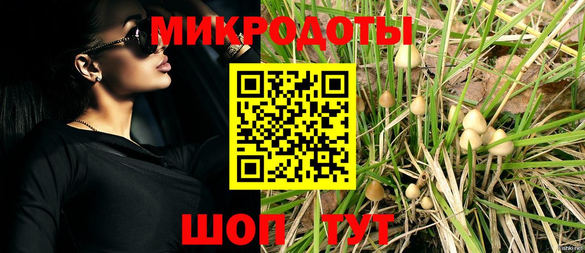 Галлюциногенные грибы Magic Shrooms Серов